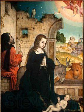 Juan de Flandes The Nativity Spain oil painting art